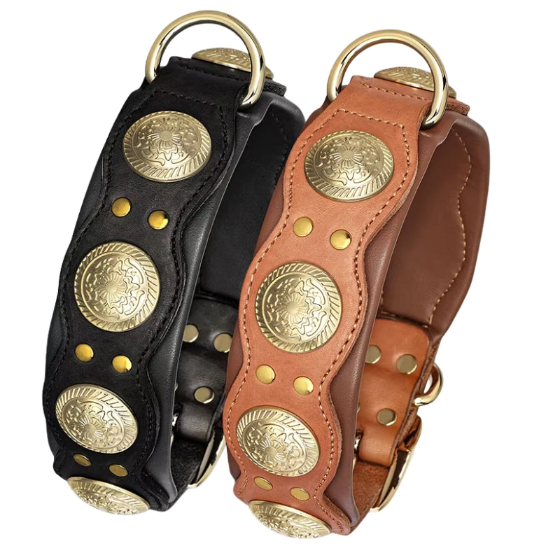Dog-Collar-Siena-Studded-Leather-004