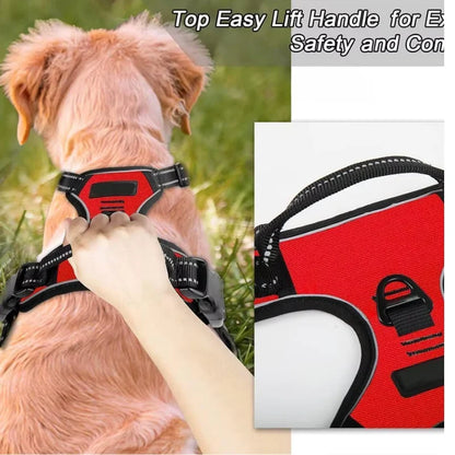 Dog Harness Eton Front No Pull Reflective  Control