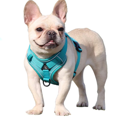 Dog_-Harness_-Luce_-Illuminated_-Set-005