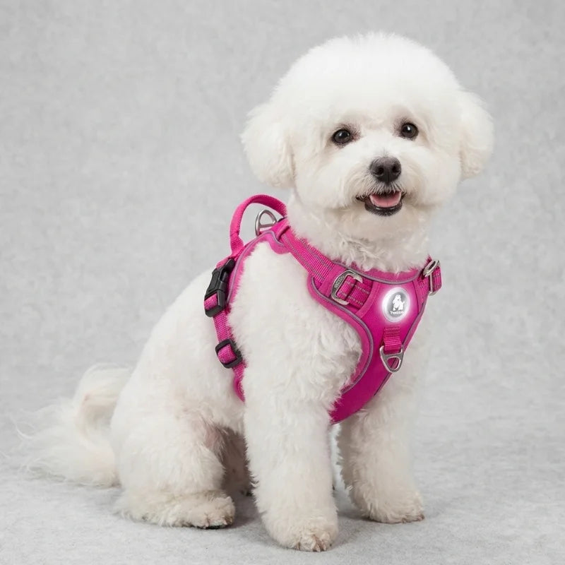 Dog Harness Pimlico Step-In On in Seconds, Never Over Their Head