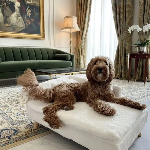 Dogs Bed PAWLOUNGE 08