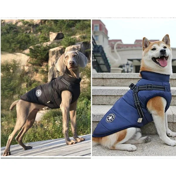 Furion Dog Coat | Thermal Waterproof Protection-.