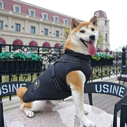 Furion Dog Coat | Thermal Waterproof Protection-black