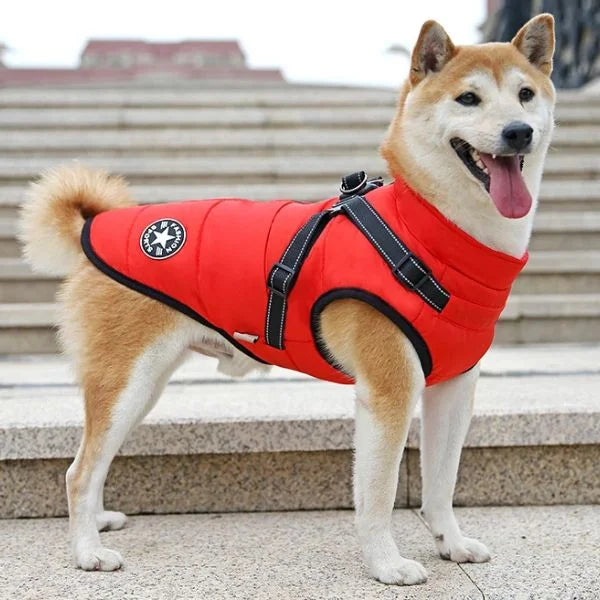 Furion Dog Coat | Thermal Waterproof Protection,red