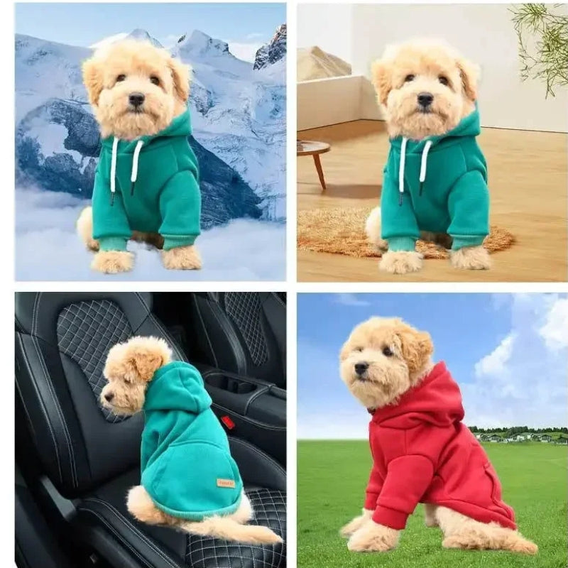 Hooded-Dog-Coat-in-Soft-Cotton-Daily-Comfort-details