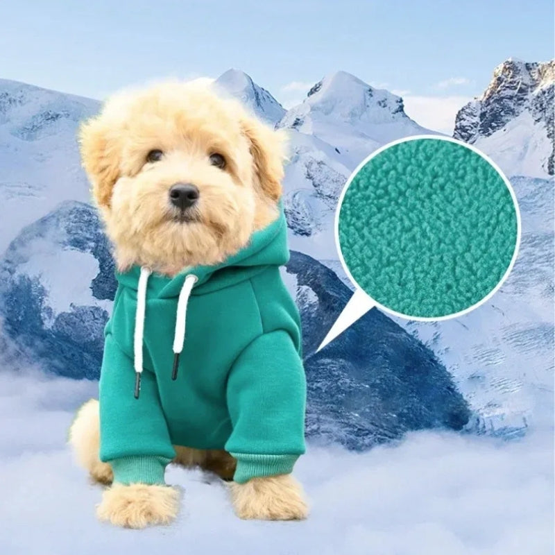 Hooded-Dog-Coat-in-Soft-Cotton-Daily-Comfort-info
