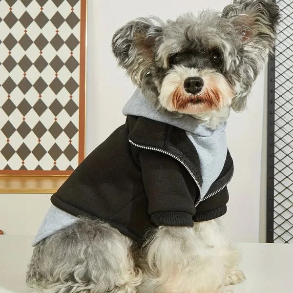 Hooded Dog Coats | Warm Winter Sweatshirts for Dogs.