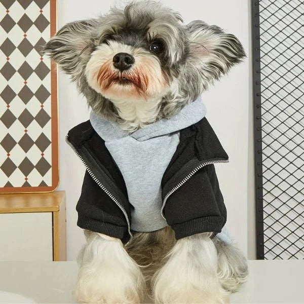 Hooded Dog Coats | Warm Winter Sweatshirts for Dogs-.