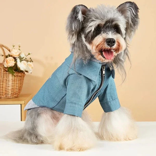 Hooded Dog Coats | Warm Winter Sweatshirts for Dogs.,blue