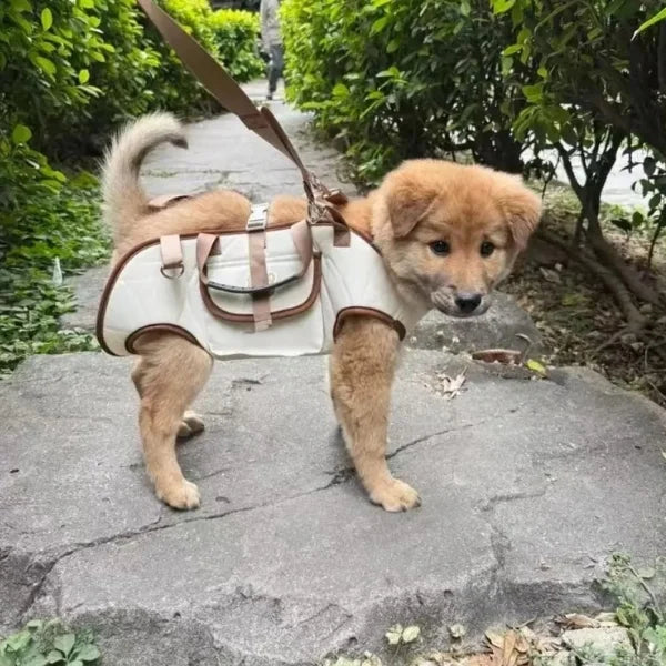 LOFT Pet Carrier Comfortable Secure.info