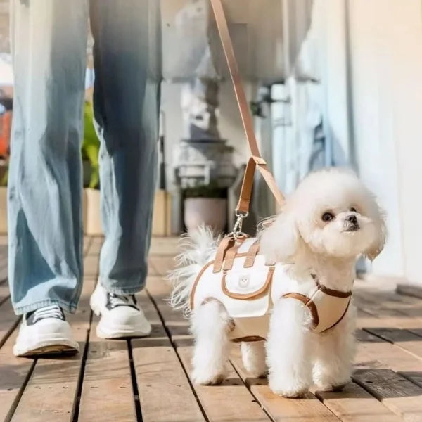 LOFT Pet Carrier Comfortable Secure.,