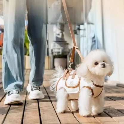 LOFT Pet Carrier Comfortable Secure.,
