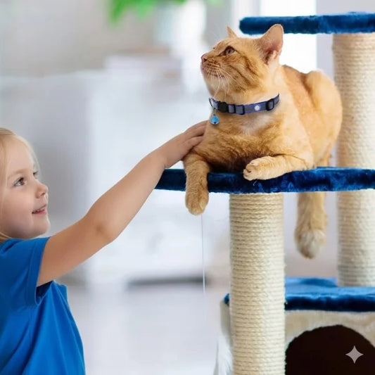 Loxley Cat Accessories Collar Compatible with AirTag.