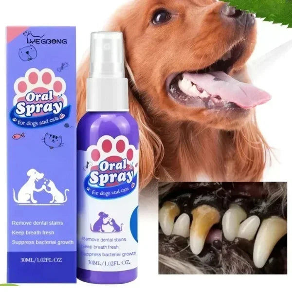 Myrr Dog Toothbrush Spray for Daily Pet Oral Care-info