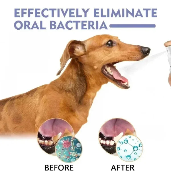 Myrr Dog Toothbrush Spray for Daily Pet Oral Care-info..