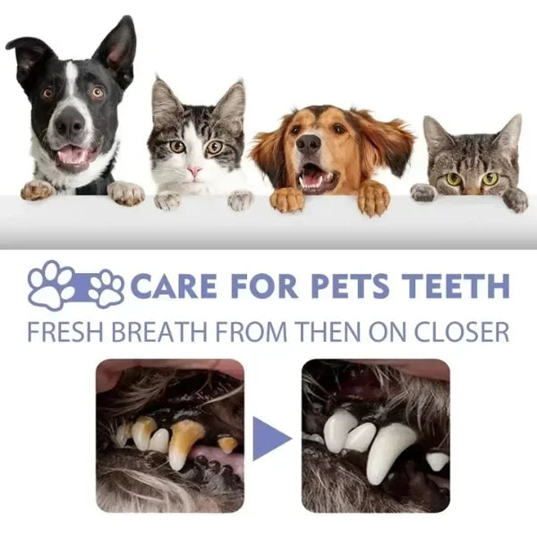 Myrr Dog Toothbrush Spray for Daily Pet Oral Care-+