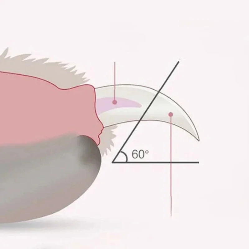 NailCore-Dog-Nail-Clippers-Profiisional-Precision.