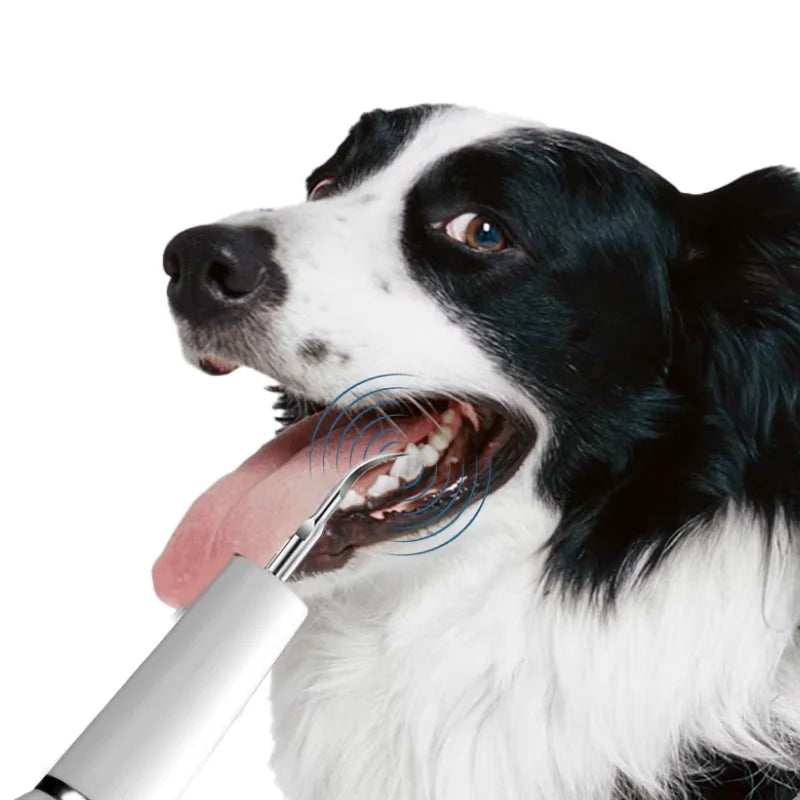 Oriny-Dog-Toothbrush-for-Deep-Dental-Cleaning-and-Tartar-Removal«