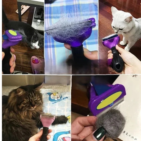 Pet Hair Remover | Archie Escova de Grooming para Pets-details