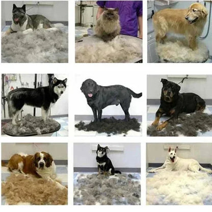 Pet Hair Remover | Archie Escova de Grooming para Pets-info....