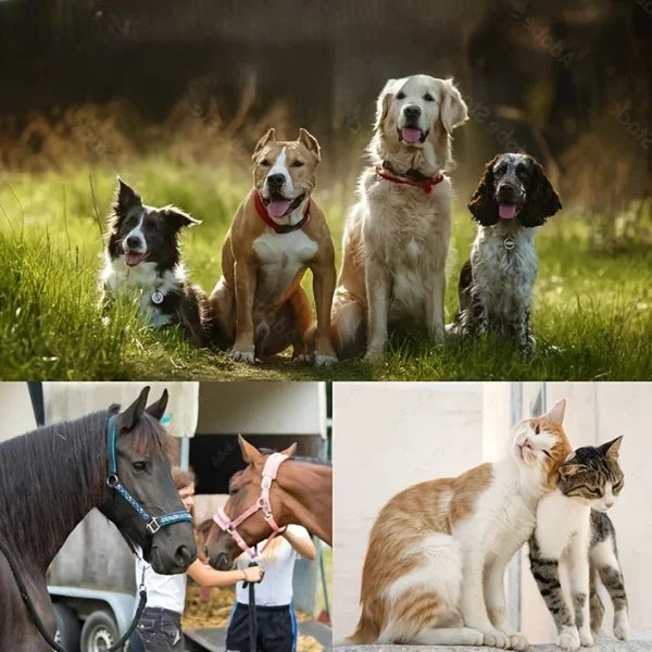 Pet Hair Remover | WillowBrush-details