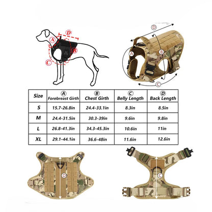 TACTIK9 – Control, Protection and Performance in Motion