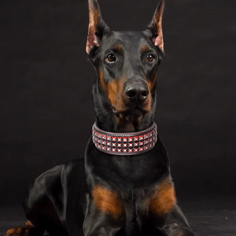 Dog Collar Rocco Wide Leather — A Bold Two-Inch Statement