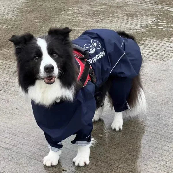 SNOWVIBE – Waterproof & Reflective Dog Coat