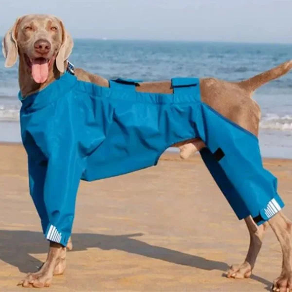 SNOWVIBE – Waterproof & Reflective Dog Coat