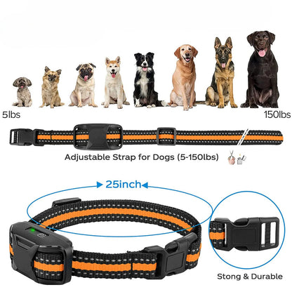 CANIS PRO | Training Collar with Intelligent System and Remote Control