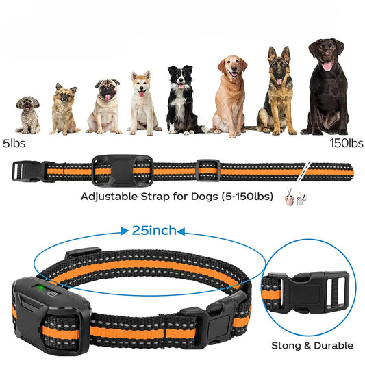 CANIS PRO | Training Collar with Intelligent System and Remote Control