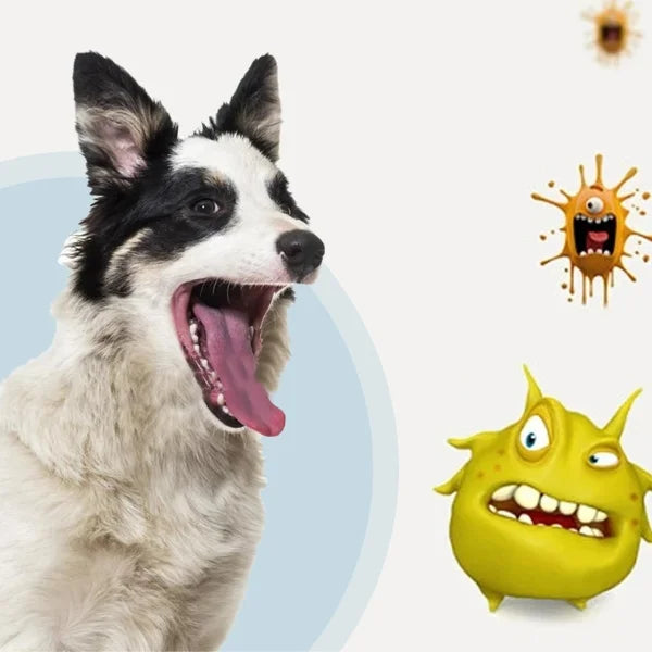 Sorin Dog Toothbrush Oral Cleaning Foam for Pets-info.