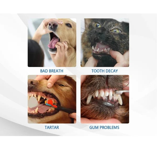 Sorin Dog Toothbrush Oral Cleaning Foam for Pets-details