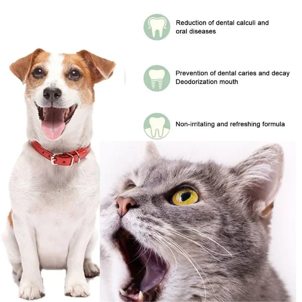 Sorin Dog Toothbrush Oral Cleaning Foam for Pets-infor..
