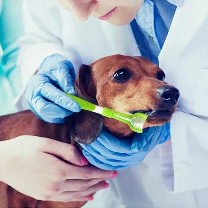 Sylvor-Dog-Toothbrush-for-More-Effective-Pet-Oral-Brushing-info 02