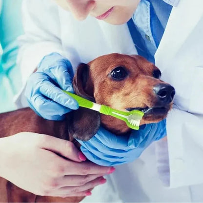 Sylvor-Dog-Toothbrush-for-More-Effective-Pet-Oral-Brushing-info 02