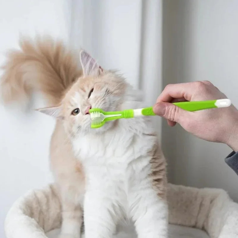 Sylvor-Dog-Toothbrush-for-More-Effective-Pet-Oral-Brushing.