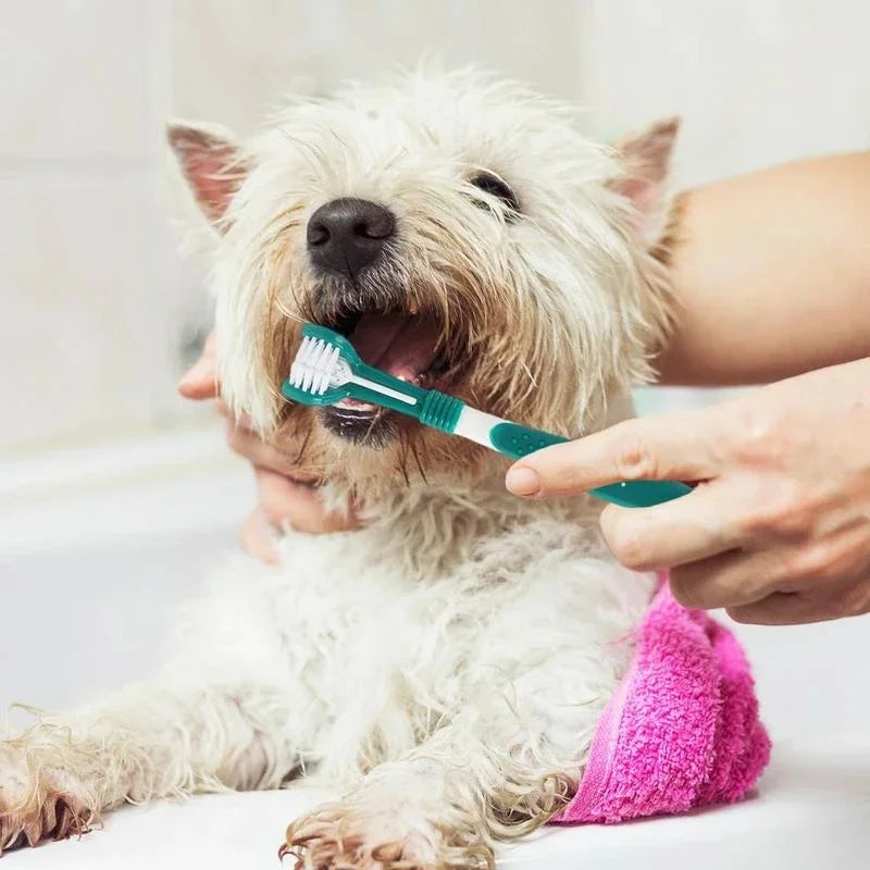 Sylvor-Dog-Toothbrush-for-More-Effective-Pet-Oral-Brushing-info-05