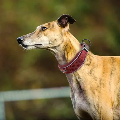 The-Dog-Collar-Lykke-Personalised-_-Reflective-03