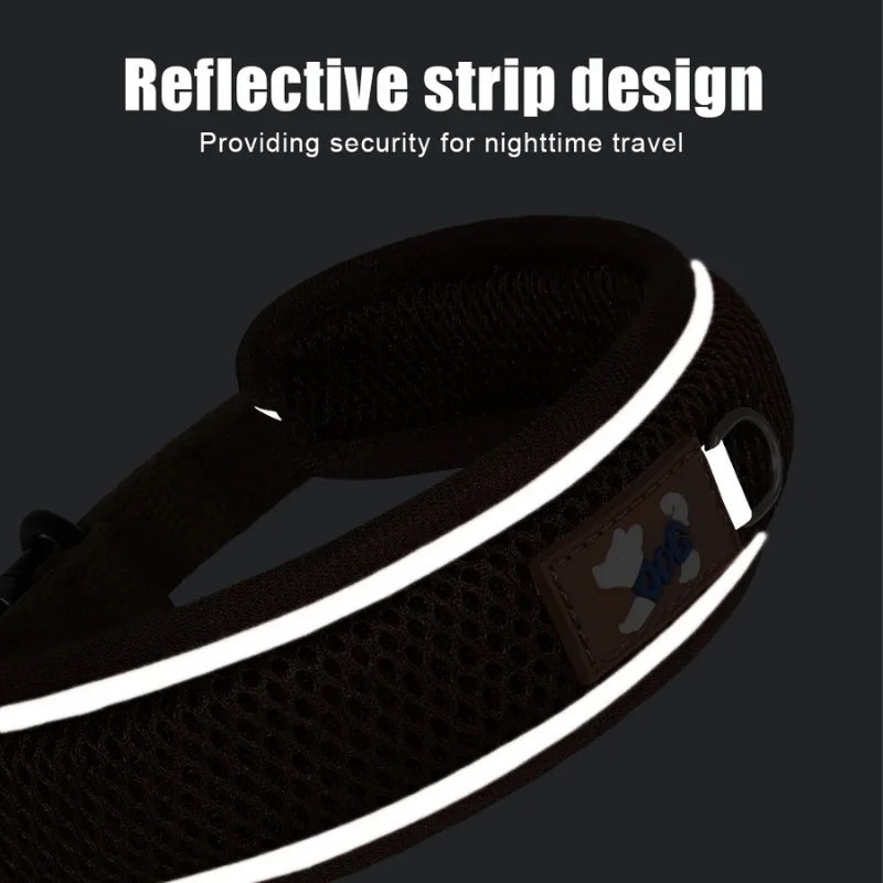 The-Dog-Collar-Lykke-Personalised-_-Reflective-05
