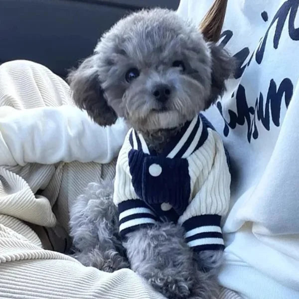Trendy_-Dog_-Coat_Lightweight_-_-Cute-+'