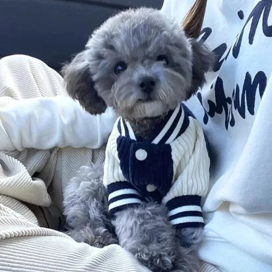 Trendy_-Dog_-Coat_Lightweight_-_-Cute-+'