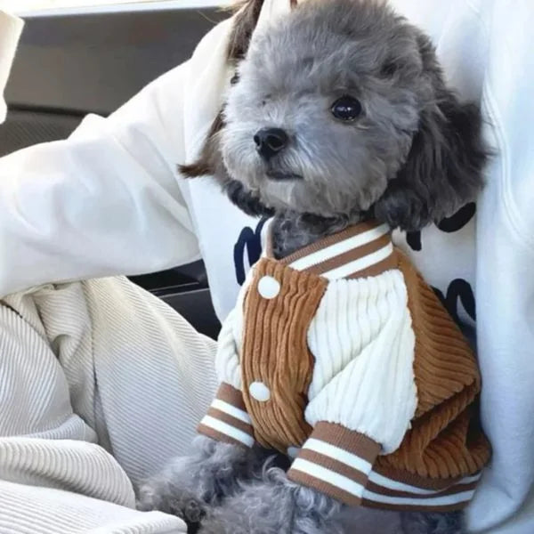 Trendy_-Dog_-Coat_Lightweight_-_-Cute-,1