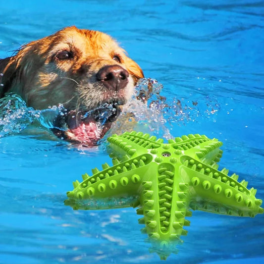 Velyni Dog Toothbrush Interactive Dental Chew Toy