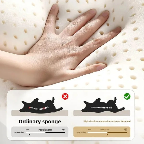 Waterproof Dog Bed Noble | Luxury Orthopaedic Pet Bed-info