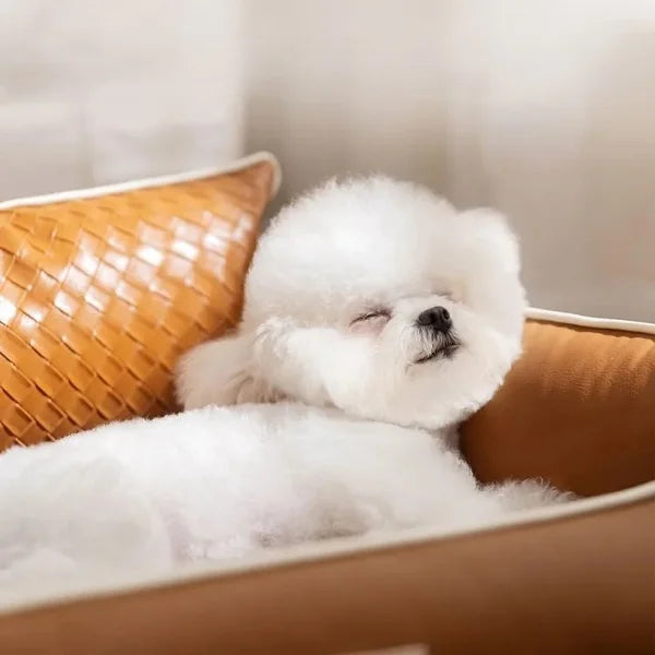 Waterproof Dog Bed Noble | Luxury Orthopaedic Pet Bed