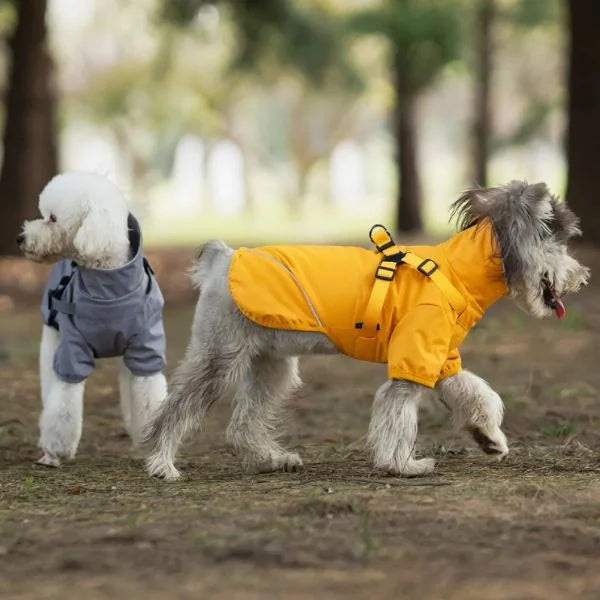 Waterproof Rain Dog Coats with Harness