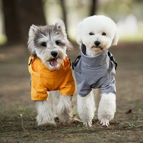 Waterproof Rain Dog Coats with Harness
