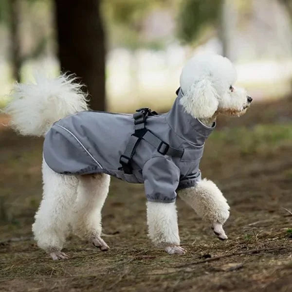 Waterproof Rain Dog Coats with Harness-grey