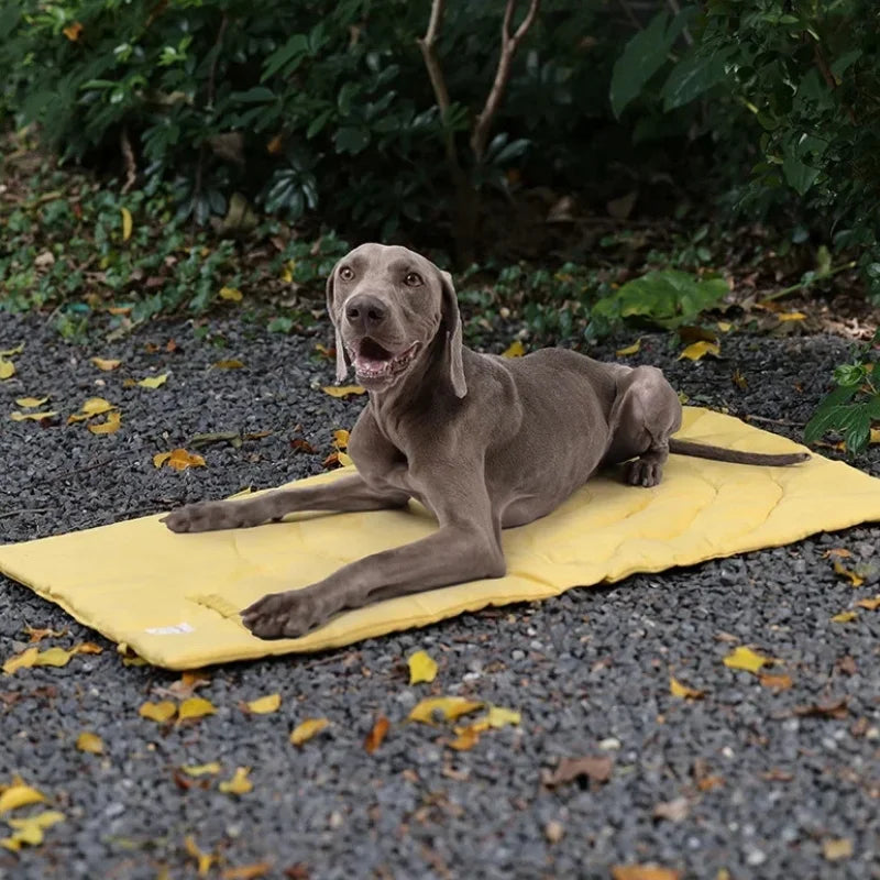 Waterproof Dog Bed DeepRest Portable Foldable Pet Mat,